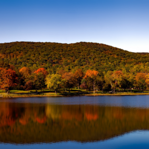Wooded hill in early fall color reflected in calm water, with orange and red trees along a grassy shoreline