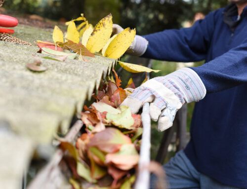 Fall Leaf Cleanup Tips for Outdoor Drains and Gutters
